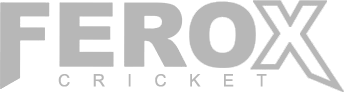 Ferox Logo grey